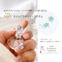 【ふるさと納税】ネイル アクセサリー タペタム アクアブルー 1個＋専用シール30枚 チップ シール｜MARNA TAPETUM ACCESSORY 大阪府 守口市 [2099]