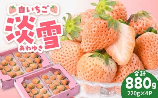 【2026年1月以降発送】ほんのりピンク 希少 白いちご「淡雪」220g×4パック【岸川農園】 いちご 苺 イチゴ あわゆき 淡雪 淡雪いちご しろいちご 白苺 しろ 白 フルーツ 果物 甘い あまい  アフター対応 アフターフォロー 期間限定 産地直送 国産 佐賀県産 さがいちご 九州 佐賀県 白石町  白石 [IAP033]
