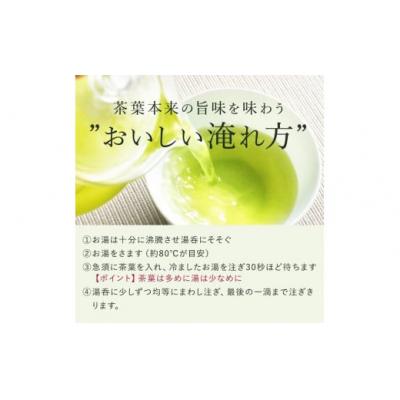 ふるさと納税 錦江町 緑茶ティーバッグ【ノウフクJAS認証茶】(4g×10p) No.054-2 |  | 02