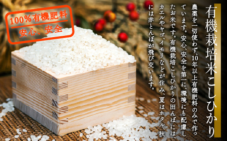 【有機JAS認定】有機栽培米こしひかり 10kg（5kg×2袋） 令和7年産  精米 白米 | 石川県 小松市 【有限会社ジャパンファーム】 ea001m02