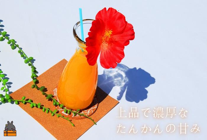 《NEW！2025年もぎたて！》徳之島 直島農園さんの樹上完熟たんかんしぼり（720ml×3本）( 果物 果汁 たんかん 柑橘 ジュース ドリンク 徳之島 奄美 鹿児島 美味しい )