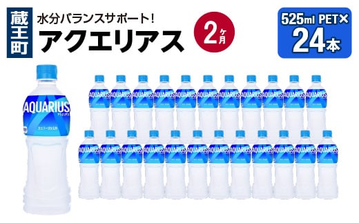 
【2か月連続お届け】アクエリアス　500ml PET×24本　【04301-0705】
