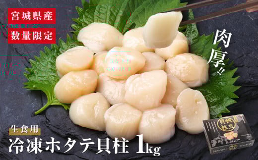 【 先行予約 】ホタテ貝柱 1kg ＜数量限定＞ 宮城県産 ほたて 貝柱 生食用 冷凍 肉厚 帆立 貝柱 生食 海鮮 魚介類 貝類 海鮮丼 生 刺身 お寿司 お刺身 おつまみ おかず ほたて貝柱 むき身 つまみ 1キロ 新鮮 お取り寄せ グルメ 剥き身 バラ冷凍 送料無料 宮城県 石巻市 ふるさと納税