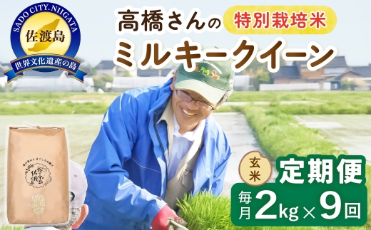 【定期便 令和8年産新米 9か月】 佐渡島産ミルキークイーン 玄米 2kg 令和8年産新米 特別栽培米 高橋農園 | 新潟県産ミルキークイーン 佐渡産ミルキークイーン ミルキークイーン お米 米 玄米 げんまい おこめ コメ 2キロ にいがた さど 新潟県 佐渡市