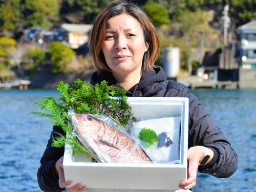 
                  （冷蔵） 人が食すために育てられた真鯛で塩釜焼き セット ／ 友栄水産 鯛 真鯛 塩釜焼き 伊勢志摩 三重県 南伊勢町
                