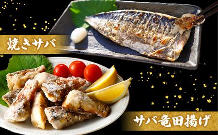 訳あり 腹骨取り 塩さば 真空パック 計8枚（2枚入×4パック） 鯖 鯖 鯖 鯖 鯖 カネジョウ
