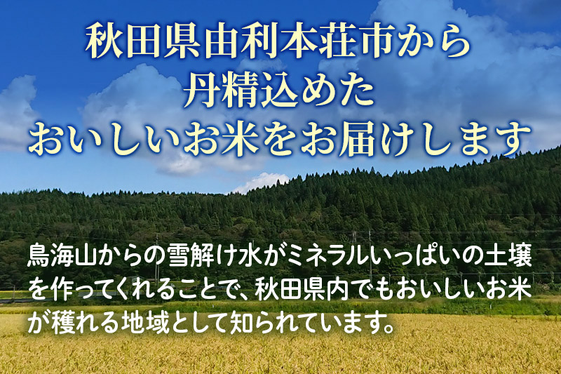 《2ヶ月定期便》令和6年産【玄米】秋田県産ひとめぼれ 30kg（30kg×1袋）