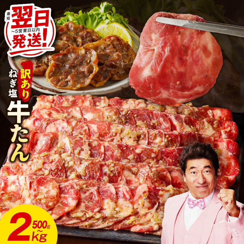 【ふるさと納税】ねぎ塩 成型 牛たん 牛ハラミ 500g 〜 2.5kg 訳あり 選べる 内容量 楽天限定 小分け 味付け 塩だれ お肉 牛肉 タン 焼肉 BBQ 薄切り スライス 定期便 全3回 真空パック 冷凍 最短 翌日発送 5営業日 年内発送 発送月 泉佐野市 肉の泉佐野