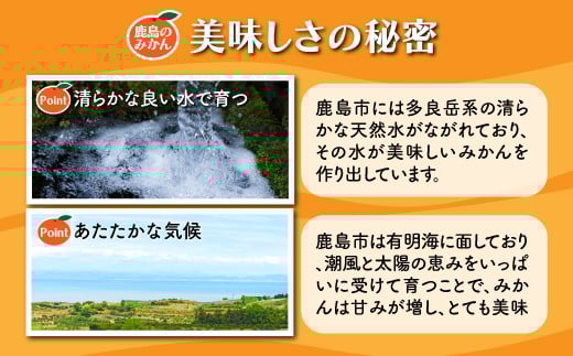 B-99  【先行予約】佐賀県鹿島産『温州みかん』約１１ｋｇ【11月中旬から順次発送】ふるさと納税 みかん ミカン 果物 フルーツ 果実 蜜柑 お取り寄せ ギフト 国産 佐賀県産 佐賀県 鹿島市 ふる