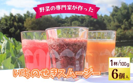 一関の野菜・果物で作るスムージー6個入り いちのせきスムージー 手軽にビタミン摂取 Vegefruハーモニー 野菜 果物 フルーツ 一関市 岩手県