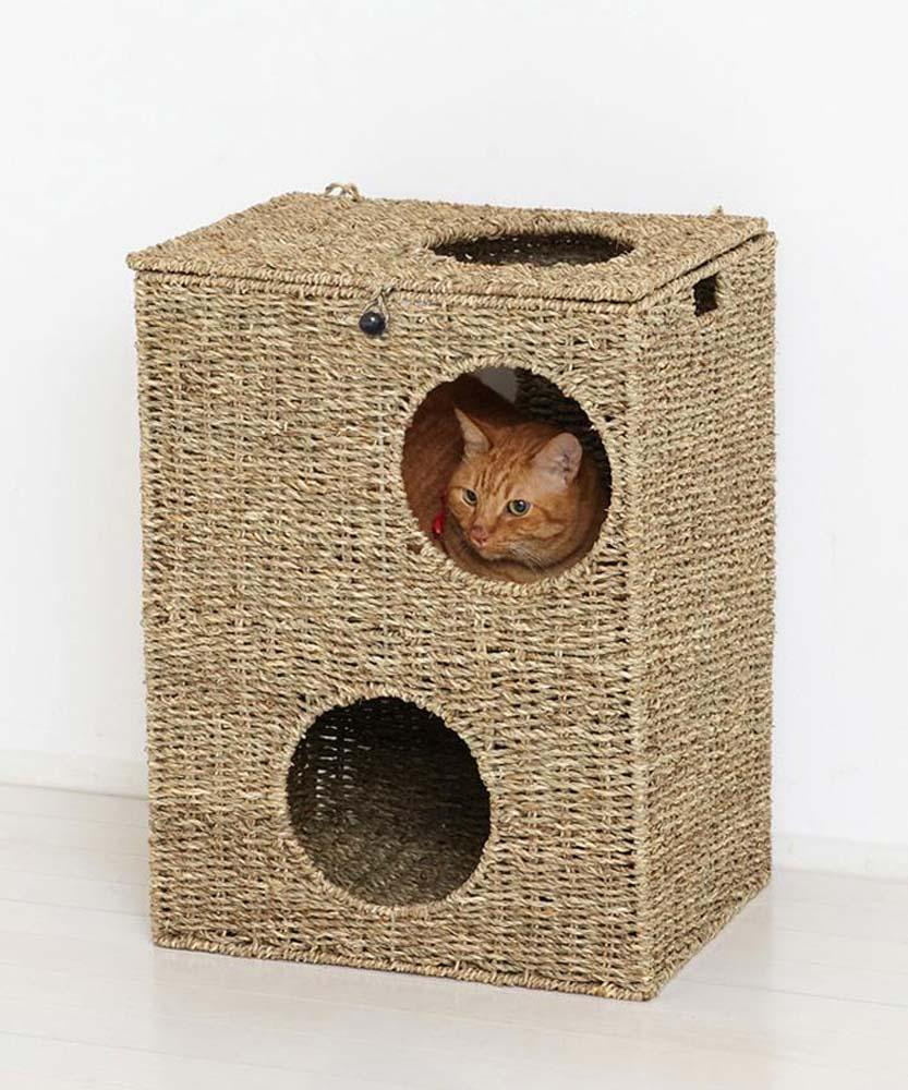 
            キャットプレイハウス
          