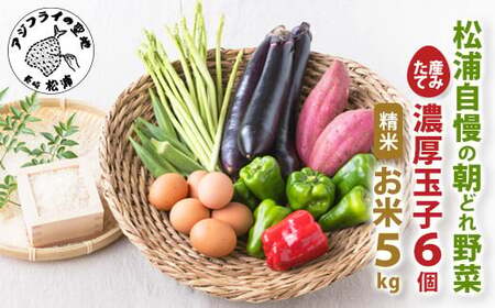 野菜 卵 米【旬のお野菜＋産みたて濃厚卵6個＋米5kg】道の駅松浦海のふるさと館【B7-039】