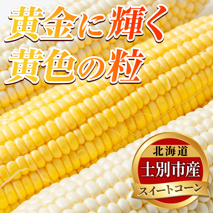 ＜期間限定＞天塩川源流スイートコーン 品種いろいろ詰め合わせ (10本) 【2026年8月下旬より順次発送】 北海道産 北海道 士別市 とうもろこし トウモロコシ とうきび コーン 野菜 産地直送 【