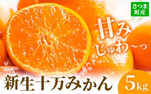 鹿児島県産 新生十万みかん 約5kg 祝迫果樹園《1月中旬-2月中旬頃出荷》鹿児島県 さつま町 みかん 十万みかん 蜜柑 柑橘 果物 くだもの フルーツ ジューシー