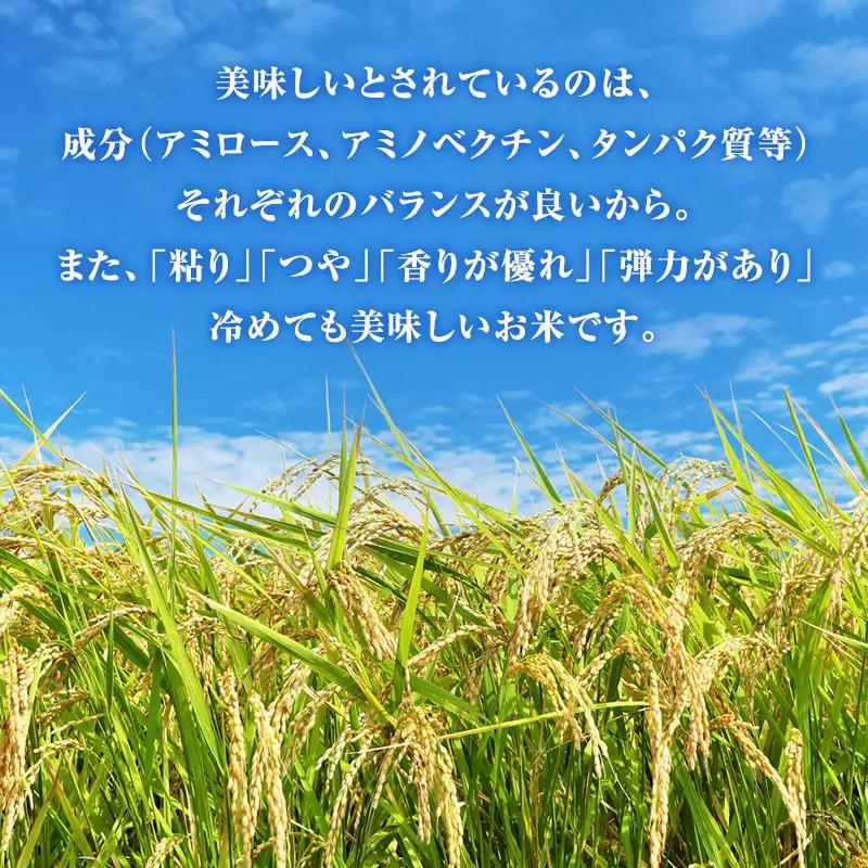 令和8年産 特別栽培米 コシヒカリ 玄米 10kg 静岡県産 色彩選別済 食に意識高い方へオススメ 3ヶ月定期便
