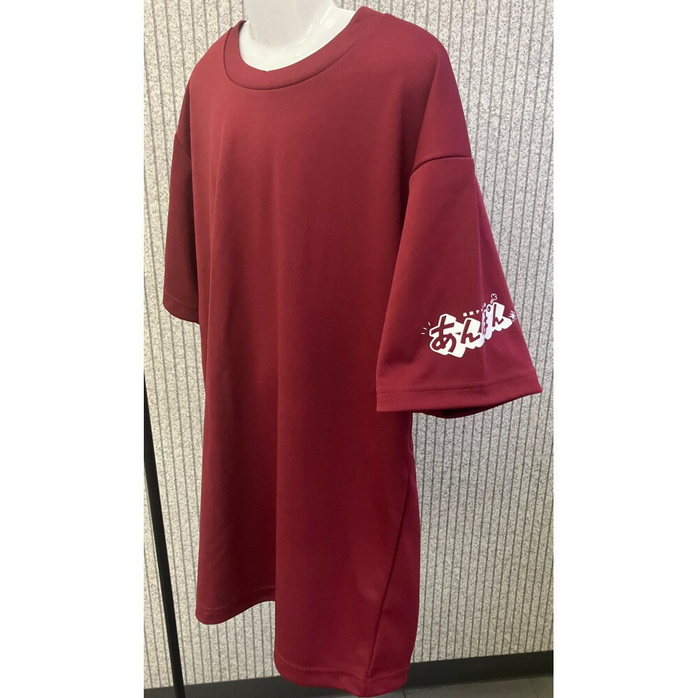 【ふるさと納税】【サイズ選択可】NHK連続テレビ小説「あんぱん」番組ロゴライセンス商品「Tシャツ」