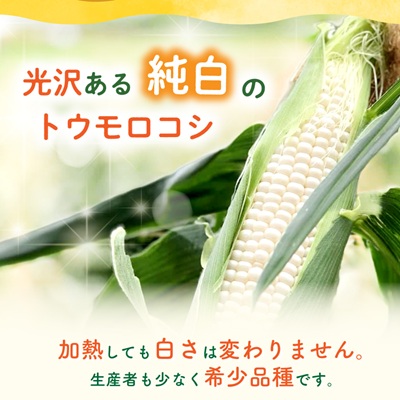 まるでフルーツ 村田農園のパールコーン 10本【大人気の白いとうもろこし(ホワイトコーン)】【配送不可地域：離島】