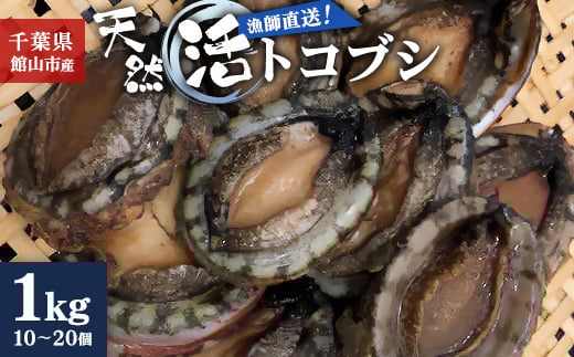 ＜金曜日発送＞漁師直送!天然活トコブシ1kg(10～20個)【1532978】