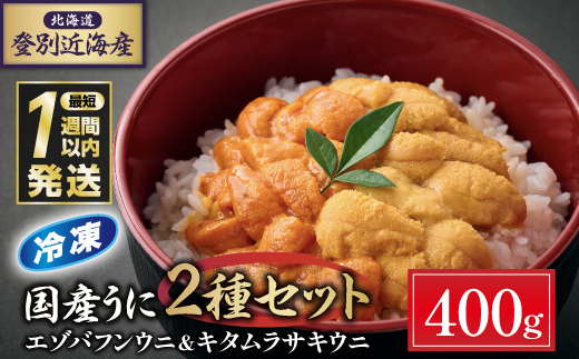 登別近海産冷凍 エゾバフンウニ&キタムラサキウニ 2種食べ比べセット（パック詰）400g