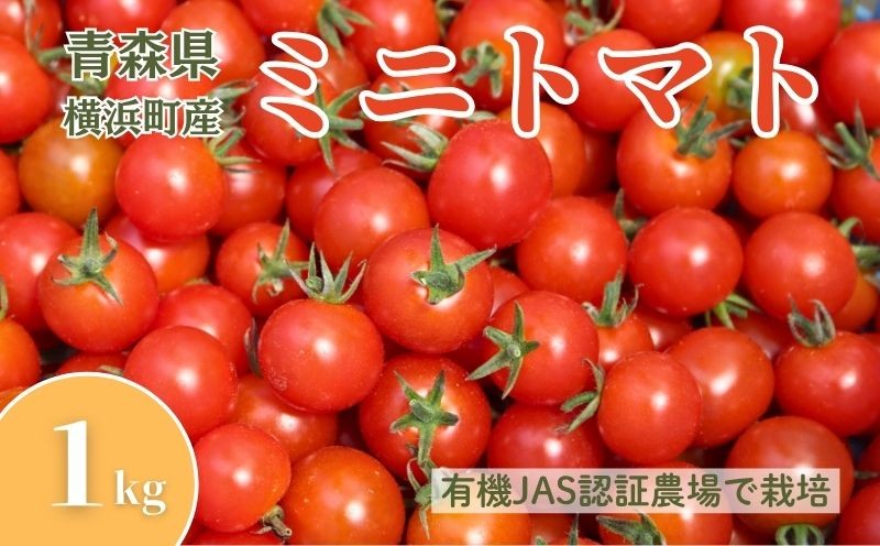 
                  横浜町産ミニトマト1kg
                
