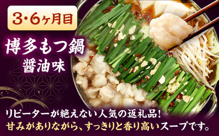 【全6回定期便】 【牛もつ2倍！】【ご家庭用】もつ鍋3種定期便（明太・味噌・醤油）3人前 桂川町/株式会社 海千 [ADAR040] もつ鍋 鍋セット 定期便