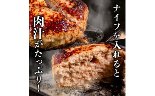 12ヶ月定期便 四万十ポーク入りハンバーグ 2.4kg(200g×12個) 冷凍 真空 小分け 個包装 肉汁たっぷり ハンバーグ 大容量 ハンバーグ 合挽き ハンバーグ 牛肉 ハンバーグ 豚肉 ハンバ