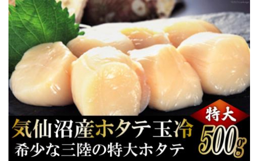 
生産者支援 三陸・気仙沼産ホタテ玉冷 500g ホタテ ほたて 帆立 冷凍 貝柱 海鮮 支援 応援 [マルフジ 宮城県 気仙沼市 20562918]
