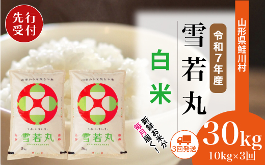 ＜令和7年産米先行受付＞ 令和8年3月上旬より配送開始 雪若丸【白米】30kg定期便 (10kg×3回)　鮭川村