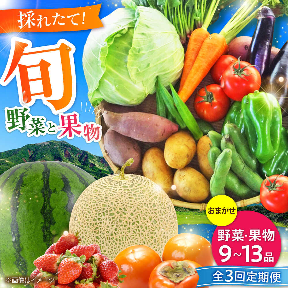 【ふるさと納税】【全3回定期便】菊陽町特産品 「野菜・果物などの詰め合わせ」 / 新鮮 詰合せ フルーツ セット 旬 おまかせ にんじん ごぼう 直売所 やさい 野菜 くだもの 果実 熊本県 特産品 菊陽町【有限会社さんふれあ】[BHAK007]