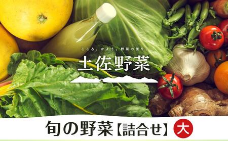 【土佐野菜】旬の野菜の詰め合わせ 大