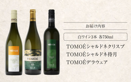 〜ソムリエが選ぶ〜冷して飲みたい絶品白ワイン3本セット ワイン 受賞 飲み比べ ワインセット ギフト 三次市 / 広島三次ワイナリー[APAZ032]