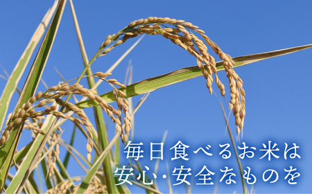 【栽培期間中農薬不使用】令和5年産 新米 こだわりの白米 夢しずく 5kg【北原農園】米 玄米 佐賀 米 玄米 国産 お米 玄米 おこめ コメ[HCA020]