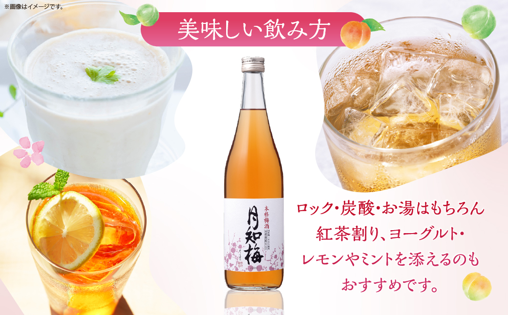 【雲海酒造】国産梅100%使用 本格梅酒「月知梅」720ml×3本_A0087-011