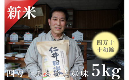  ◎令和6年産◎絶妙なバランスが大好評！井上米穀店の香るお米（十和錦）／Bib-04