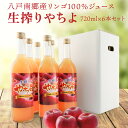 【ふるさと納税】八戸南郷産リンゴ100％ジュース720ml×6本入り 生絞り やちよ ジュース ジュースセット りんごジュース リンゴジュース 飲み物 青森県 八戸市 送料無料