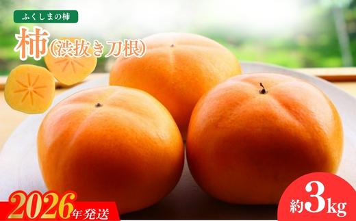 No.1205福島の柿「渋抜き柿」（刀根早生又は平たねなし）約3kg【2026年発送】