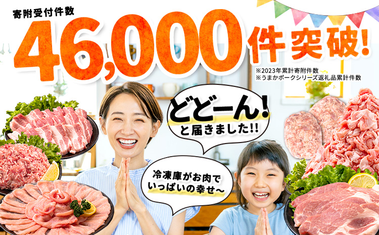 ＼畜産農家応援／豚肉 うまか ポーク バラエティ セット 4.5kg 豚肉 しゃぶしゃぶ 切り落とし 《11月出荷予定》 豚ロース バラ 豚バラ スライス 以上 定期便 真空 お楽しみセット 不揃い 