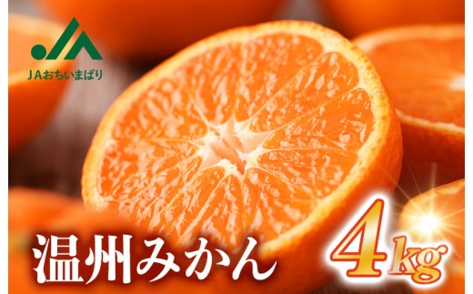 【先行予約】温州みかん 4kg [KB00900] 2026年10月下旬～11月下旬に順次発送予定 期間限定 ふるさと納税ミカン 温州ミカン 甘いみかん 愛媛みかん 果物 フルーツ ふるさと納税フルーツ 愛媛ふるさと納税 愛媛県ふるさと納税 JA
