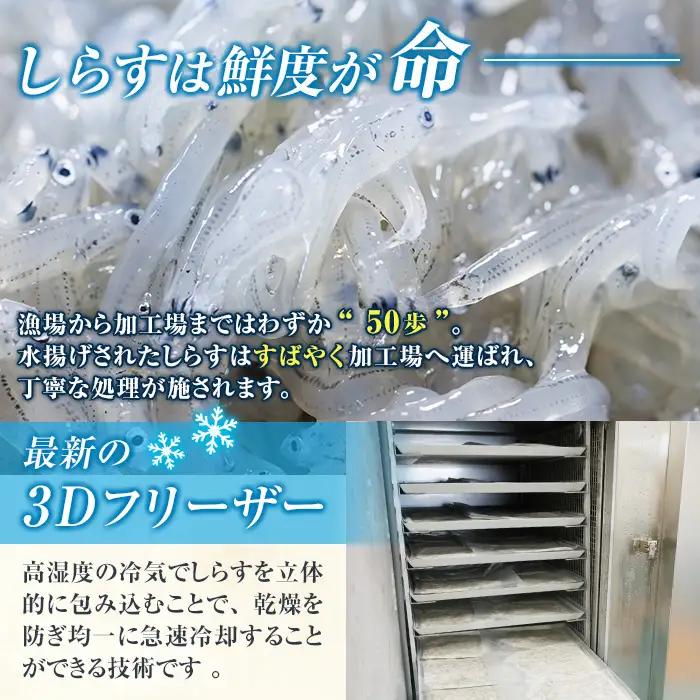 豊洋丸の鮮度抜群！ 生しらすセット (計200g・100g×2個) 【HK01】【OITAしらすhoyomaru豊洋丸】