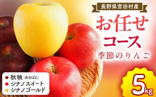 季節のりんご『お任せコース』（５ｋｇ）（予約制）（りんご 林檎 フルーツ ビタミン 果物 くだもの 上伊那 宮田村 長野 信州 甘い 新鮮 人気 ギフト 贈答  特産品）