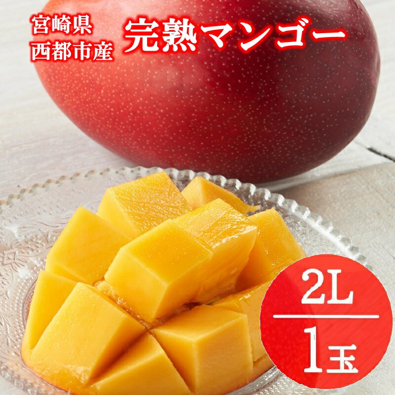 【ふるさと納税】宮崎県 西都市産 完熟マンゴー2L×1玉 ＜73-1a＞ふるさと納税 宮崎マンゴー「先行予約」令和8年収穫分 果物 南国フルーツ