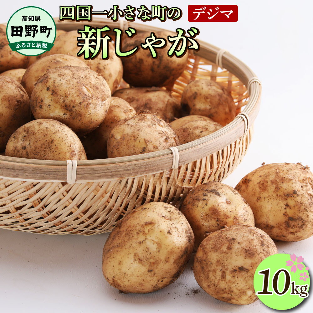 【ふるさと納税】★先行予約 2025年5月発送開始★大野台地で採れた 令和7年産 新じゃがいも『デジマ』10kg 10キロ ふるさと納税 デジマ じゃがいも イモ 新じゃが ジャガイモ 芋 いも ポテト 野菜 おいしい ふっくら 旬 国産 お取り寄せ 常温配送 高知県 故郷納税 13500円