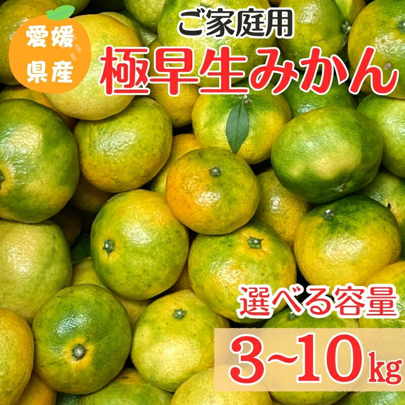 【ふるさと納税】【2026年先行予約】 みかん 極早生みかん ご家庭用 【選べる容量】 3kg 10kg 農園直送 【10月上旬から順次発送予定】 愛媛 数量限定 愛媛県産 ゆうやけファーム 人気 柑橘 伊予市
