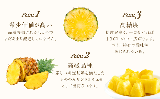 熟鮮サンドルチェ(R) 3kg(2～3玉 )2026年 先行予約 パイン沖縄 西表島産 レア品種 沖縄 西表島産 果物 フルーツ