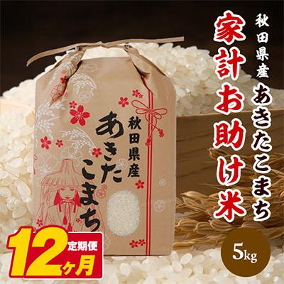 ふるさと納税 潟上市 【毎月定期便】秋田県産あきたこまち 家計お助け米(精米)5kg全12回