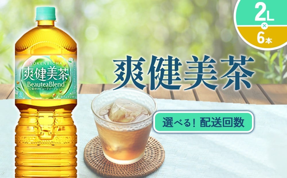
                  【発送回数 選べる】爽健美茶 ２L PET【コカ・コーラ】ペットボトル 1ケース(6本) 定期便 2回(12本)3回(18本) セット お茶 カフェインゼロ ノンカフェイン ハトムギ ブレンド茶 宮崎県 えびの市 送料無料
                