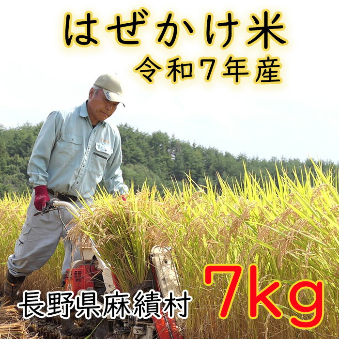 【ふるさと納税】令和7年 米 はぜかけ米 予約 7kg 自然乾燥 天日乾燥 長野 麻績村 5kg + 2kg はざかけ米 信州 長野県 麻績 令和7年産