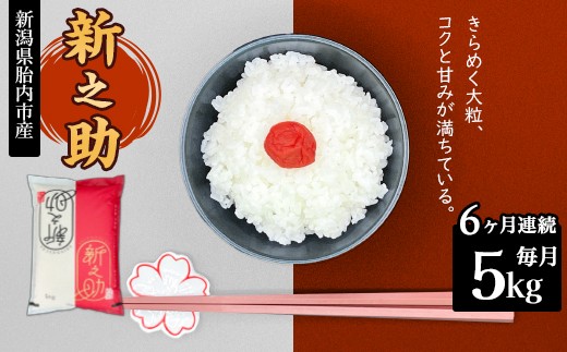 16-S56【6ヶ月連続お届け】新潟県胎内市産ちょっと贅沢な新之助5kg