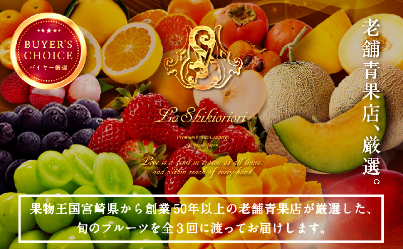 《2026年発送先行予約》【数量・期間限定】青果店厳選！「3ヶ月お届け！くだもの定期便Vol.3」_M153-T023
