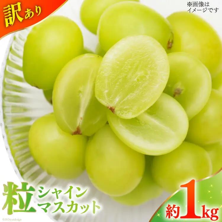 【2026年発送】 訳あり 粒 シャインマスカット 予約 約 1kg 家庭用 NS-1004